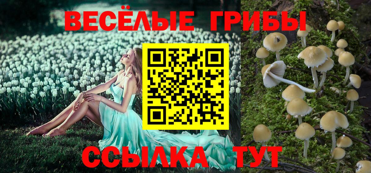 Псилоцибиновые грибы прущие грибы Великие Луки
