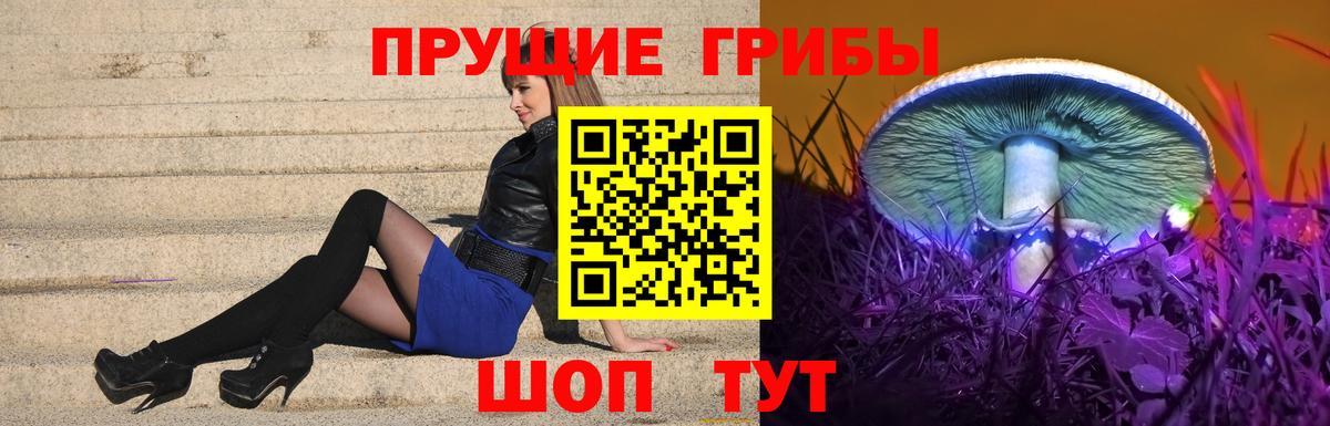 Великие Луки  Галлюциногенные грибы MAGIC MUSHROOMS  Вход с VPN 