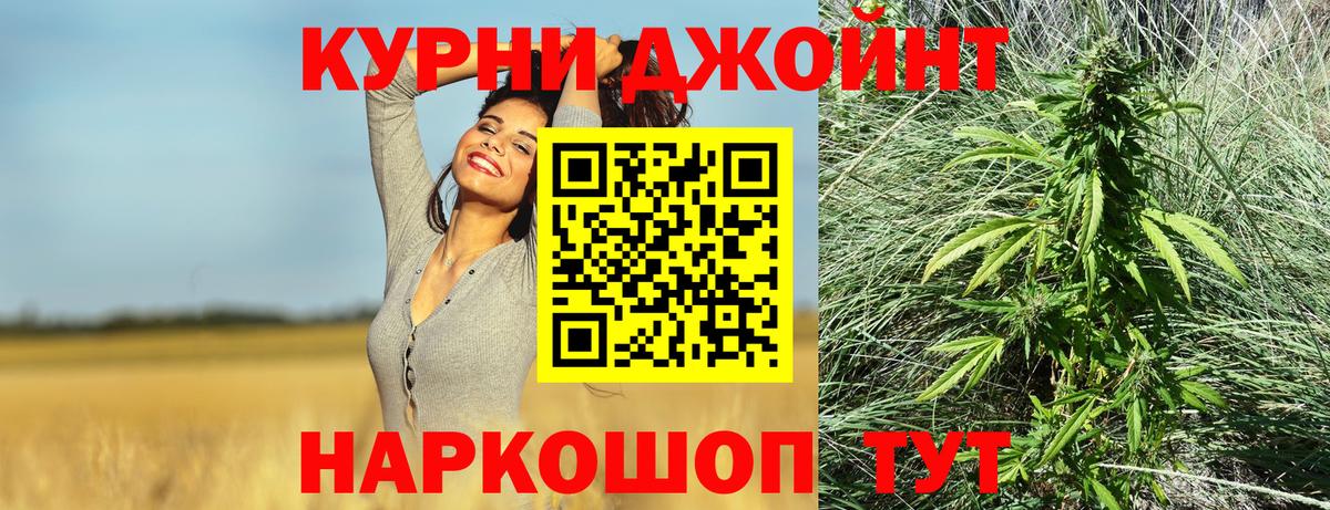 Конопля сатива Великие Луки